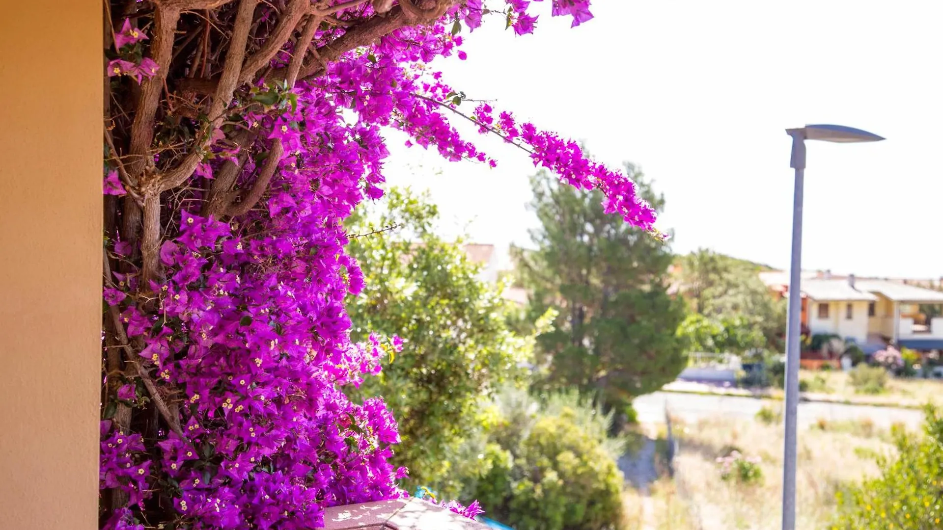 Casa Sinclair, Air-Con E Giardino Lejlighed Cala Gonone